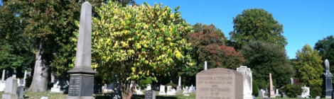 Gay Graves Tour, Green-Wood Cemetery, Brooklyn, Autumn, Fall, Acorns, Blue Sky, Cloudless Sky