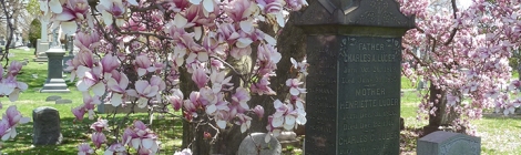 Magnolias, Green-Wood Cemetery, Brooklyn, Cemetery, Trees, Gravestone, Gay Graves Tour